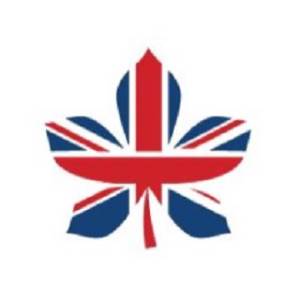 British Dissertation Help British Dissertation Help